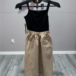 Anthropologie Black and Tan Dress